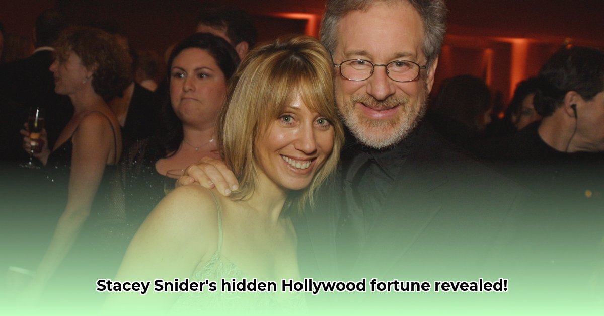 stacey-snider-net-worth